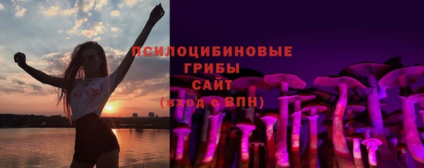 ПСИЛОЦИБИНОВЫЕ ГРИБЫ Волосово